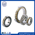 Double Row Cylindrical Roller Bearing